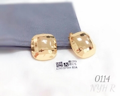 Square style shiny earring