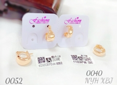 Shiny polishing earring