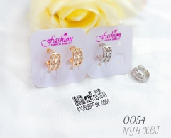 Glossy and zircon earring