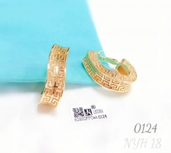 Irregular exquisite hollow earring