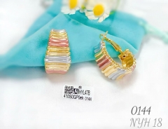 Line style oil painting earring