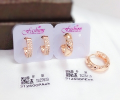 Smooth style zircon earring