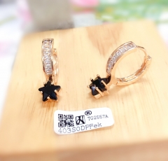 Star model black zircon earring