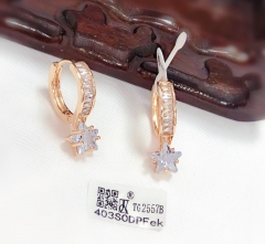 Star model whiter zircon earring