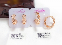 Irregular model polishing earring