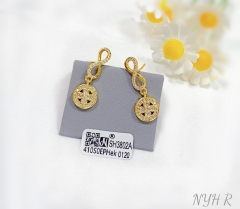 Irregular model exquisite earring