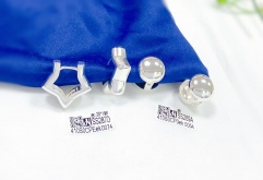 Star/round model glossy earring