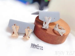 Irregular model shiny earring