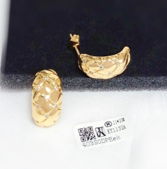 Irregular model with zircon shiny earring