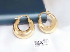 Fashion shiny earring