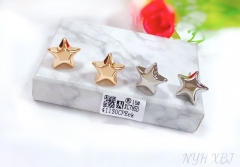 Star model glossy stud earring