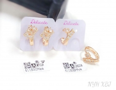 Irregular shape zircon earring