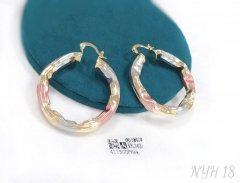 Color mixing style hoop earring