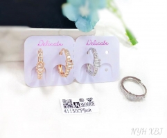 Zircon exquisite hoop earring