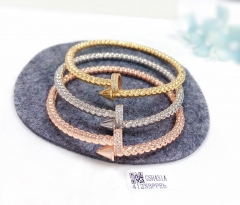 Twist curl style exquisite bangle set