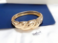 Stripe shape smooth gold/silver bangle