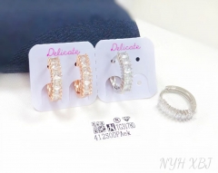 Dazzling zircon earrings