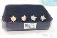 Snowflake model shiny earings