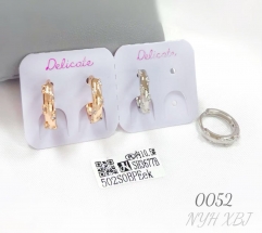 Zircon Gold Selver Plated Earrings for Women