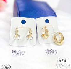 Elegant women's zircon exquisite earrings