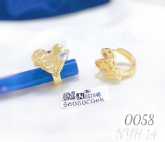 Gold Plated Exquisite Hoop Zirconia Earring Jewelry