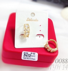 Minimalist Zirconia Women's Earrings