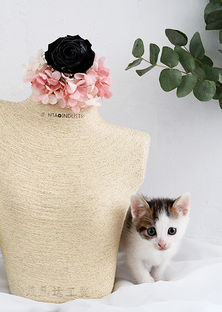 FABULOUS JEWELRY GIFT