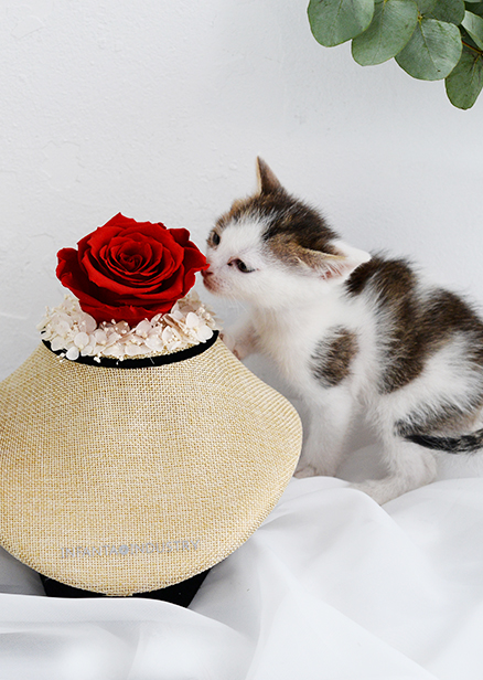 JEWELRY & PEACE & LOVE