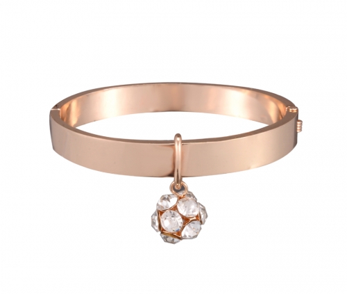 Stainless Steel Bangle Bracelet