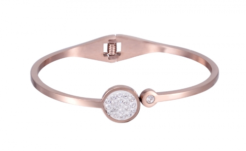 Stainless Steel Bangle Bracelet