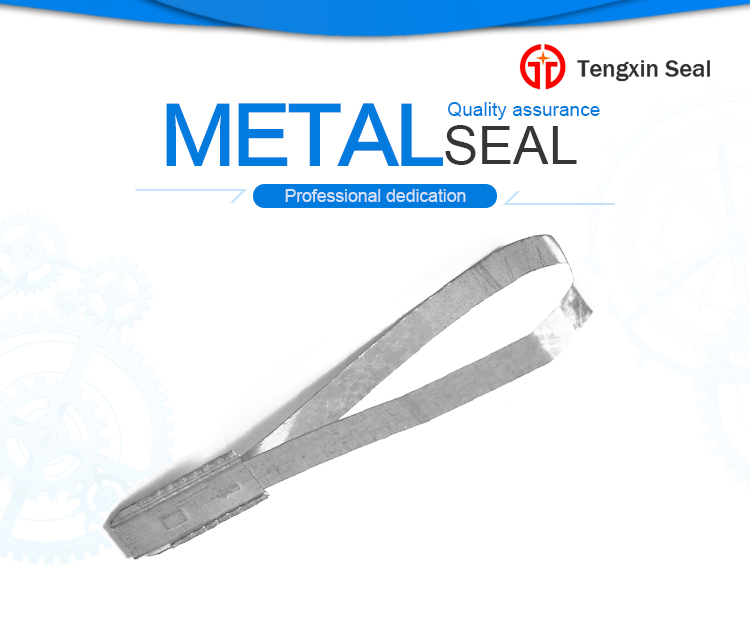 Metal Strap Seal TX-SS103