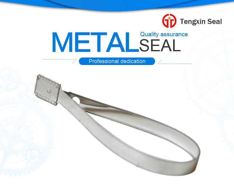 Metal Strap Seal TX-SS101