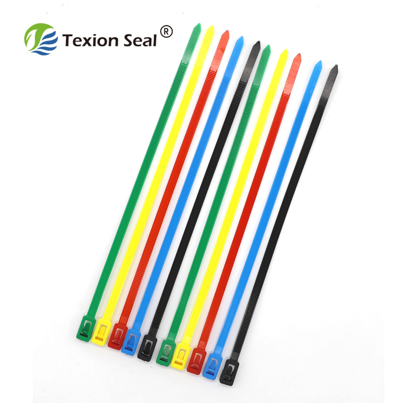 TX-CT010 hohe sicherheit nylon kabelbinder mit verschiedenen montiert kabelbinder