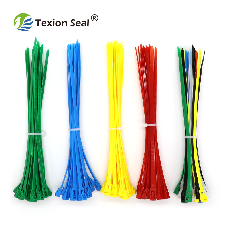 TX-CT010 hohe sicherheit nylon kabelbinder mit verschiedenen montiert kabelbinder