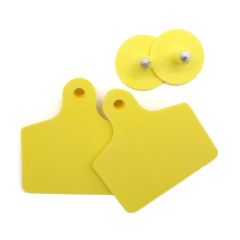 Hohe qualität glow rinder ohr tag kuh dreieck ohr tag