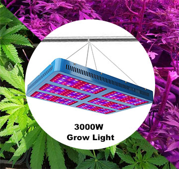 KINGPLUS 3000W LED Grow Light