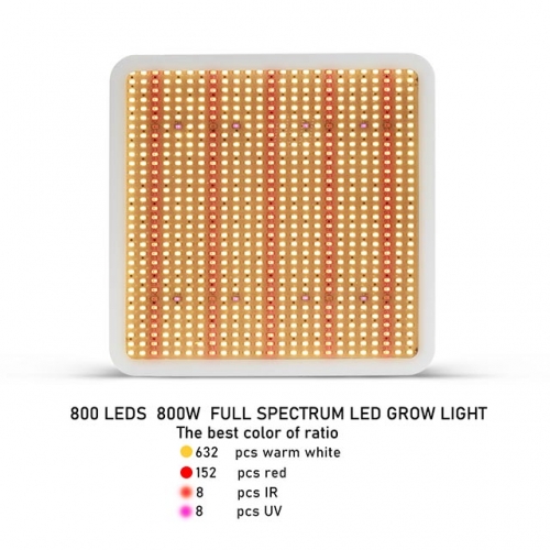800W 800leds Warm Full Spectrum Growth Light - SINJIAlight
