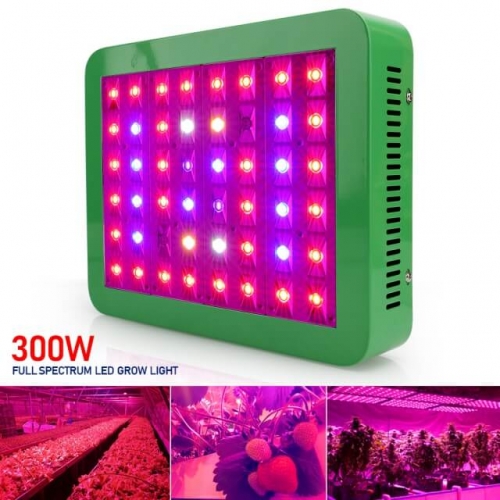 300W 48leds Growth/Bloom/Full Spectrum Grow Light - SINJIAlight