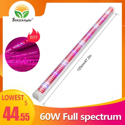 [Pack of 3] T8 60W 600Leds Integrated Grow Light Tube - SINJIAlight