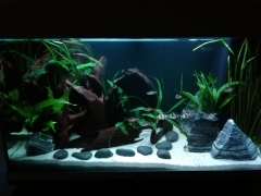 RGB  Aquarium LED Strip