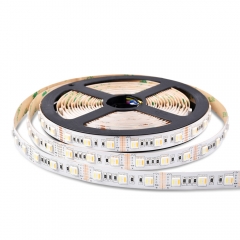 DC12V 5 in 1 60leds/m 5050 RGB+CCT LED Strip