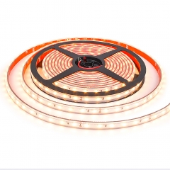 DC24V 60leds/m 2835 LED Strip