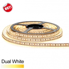 DC24V 120Leds/M 3527 Dual White Led Strip