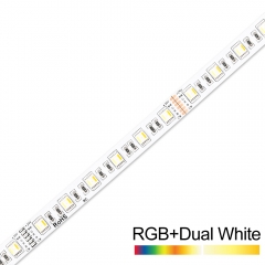 DC24V 5 in 1 60leds/m 5050 RGB+CCT LED Strip