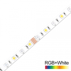 DC24V 60leds/m 5050 RGB+5050 W RGBW LED Strip