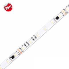 DC24V TM1814 5050 RGBW 60leds/m LED Strip