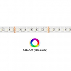 DC24V 5 in 1 96leds/m 5050 RGB+CCT LED Strip