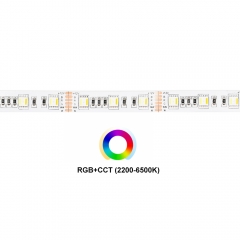 DC12V 5 in 1 60leds/m 5050 RGB+CCT LED Strip