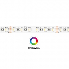 DC24V 4 in 1 72leds/m 5050 RGBW LED Strip