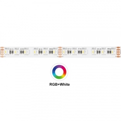 DC24V 4 in 1 96leds/m RGBW LED Strip